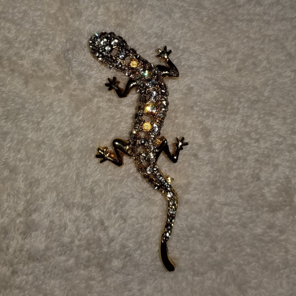 Beautiful Vibrant Vintage Lizard Brooch